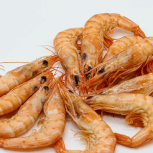Crevette bio équateur